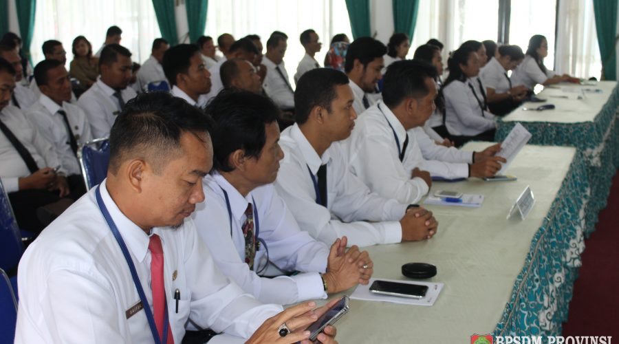 BIMBINGAN TEKNIS DAN UJIAN SERTIFIKASI KEAHLIAN  PENGADAAN BARANG DAN JASA PEMERINTAH
