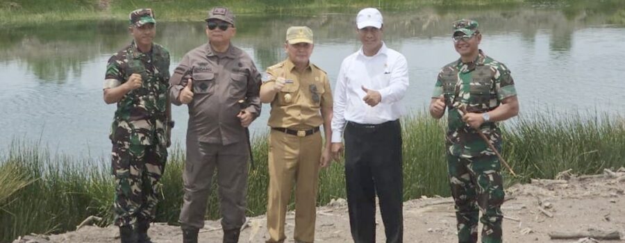 Tinjau Area Sawah dan Food Estate di Dadahup, Mentan dan Gubernur Kalteng Optimis Lumbung Pangan Nasional Terwujud